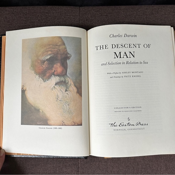 The Odyssey • Homer | Collector’s Edition - Picture 5 of 15